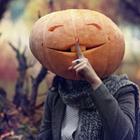 kichigin19/stock.adobe.com