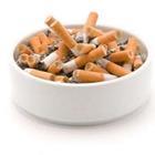 uwimages/stock.adobe.com