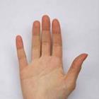 cjruslan/stock.adobe.com