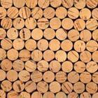 Boyan Dimitrov/stock.adobe.com