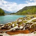 Serg Zastavkin/stock.adobe.com