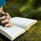 xxknightwolf/stock.adobe.com