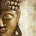 KD-Photo/stock.adobe.com