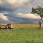 BeTa-Artworks/stock.adobe.com