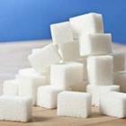 Vera Kuttelvaserova/stock.adobe.com