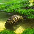 Alexander Micheichev/stock.adobe.com