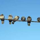 Morna/stock.adobe.com