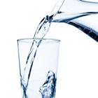 Gina Sanders/stock.adobe.com