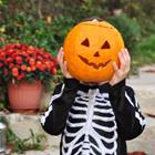 Intherayoflight/Shutterstock.com