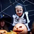 Pressmaster/Shutterstock.com