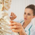 Alliance Images/Shutterstock.com