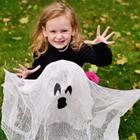 Evgeniy Kalinovskiy/Shutterstock.com