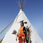 Waddell Images/stock.adobe.com