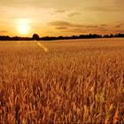 Silverpics/stock.adobe.com