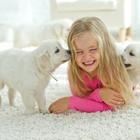 nuzza11/stock.adobe.com