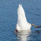 cimbat4/stock.adobe.com