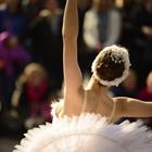 Martina/stock.adobe.com