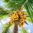 eyetronic/stock.adobe.com