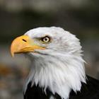 Marcel Schauer/stock.adobe.com