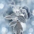 Vera Kuttelvaserova/stock.adobe.com