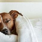 javier brosch/stock.adobe.com