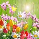 doris oberfrank-list/stock.adobe.com