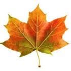 Smileus/stock.adobe.com