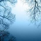 Wilm Ihlenfeld/stock.adobe.com