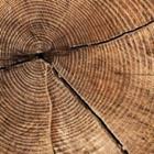 sasel77/stock.adobe.com