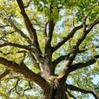 Schlegelfotos/stock.adobe.com