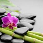 Pavel Timofeev/stock.adobe.com