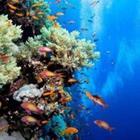 frantisek hojdysz/stock.adobe.com