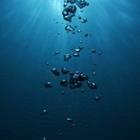 PlanctonVideo/stock.adobe.com