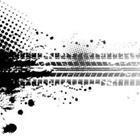 longquattro/stock.adobe.com