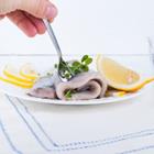 Marina Bakush/Shutterstock.com