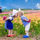 FamVeld/Shutterstock.com