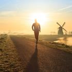 Sander van der Werf/Shutterstock.com