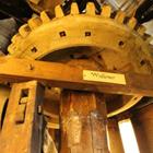 Carolinehk/Shutterstock.com