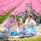 FamVeld/Shutterstock.com