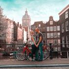 LALS STOCK/Shutterstock.com