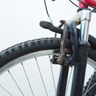 Oussuchol/Shutterstock.com