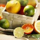 Johanna Mühlbauer/stock.adobe.com