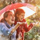 Yuganov Konstantin/Shutterstock.com