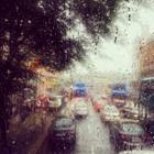 petra___d/Shutterstock.com