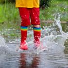 FamVeld/Shutterstock.com