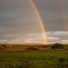 ianmitchinson/Shutterstock.com