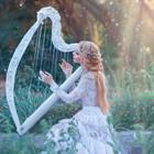 Irina Alexandrovna/Shutterstock.com