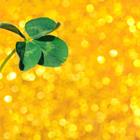 artsandra/Shutterstock.com