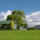 Remizov/Shutterstock.com