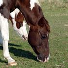 schaltwerk/stock.adobe.com